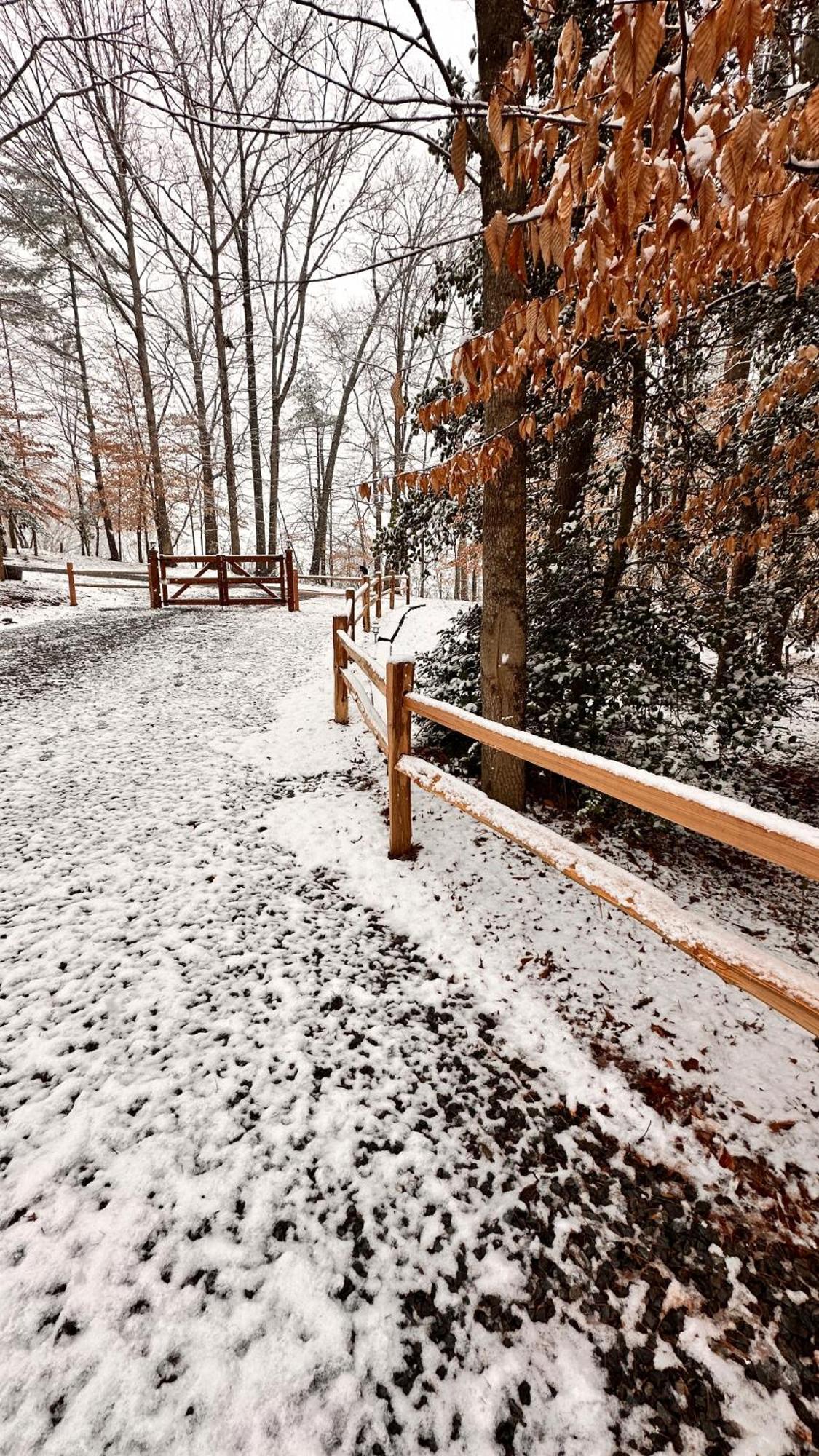 Appalachian Mountain Cabin-Updated-Private-Rafting On Ocoee River-Hiking-Waterfalls-Wifi-Pets Ok Murphy Exteriör bild
